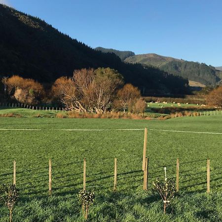 Narrow Neck Creek Farmstay And B&B Upper Hutt Luaran gambar