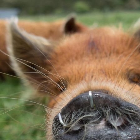 Narrow Neck Creek Farmstay And B&B Upper Hutt Luaran gambar