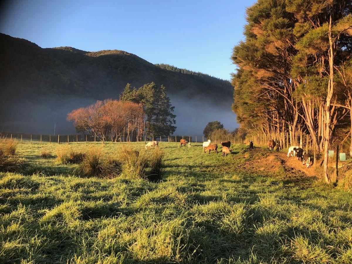 Narrow Neck Creek Farmstay And B&B Upper Hutt Luaran gambar