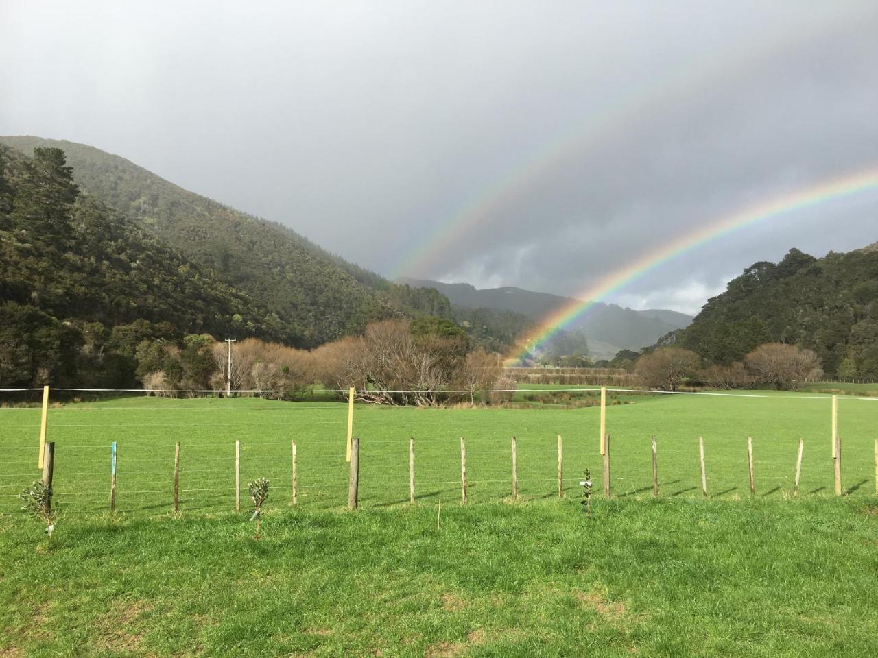 Narrow Neck Creek Farmstay And B&B Upper Hutt Luaran gambar