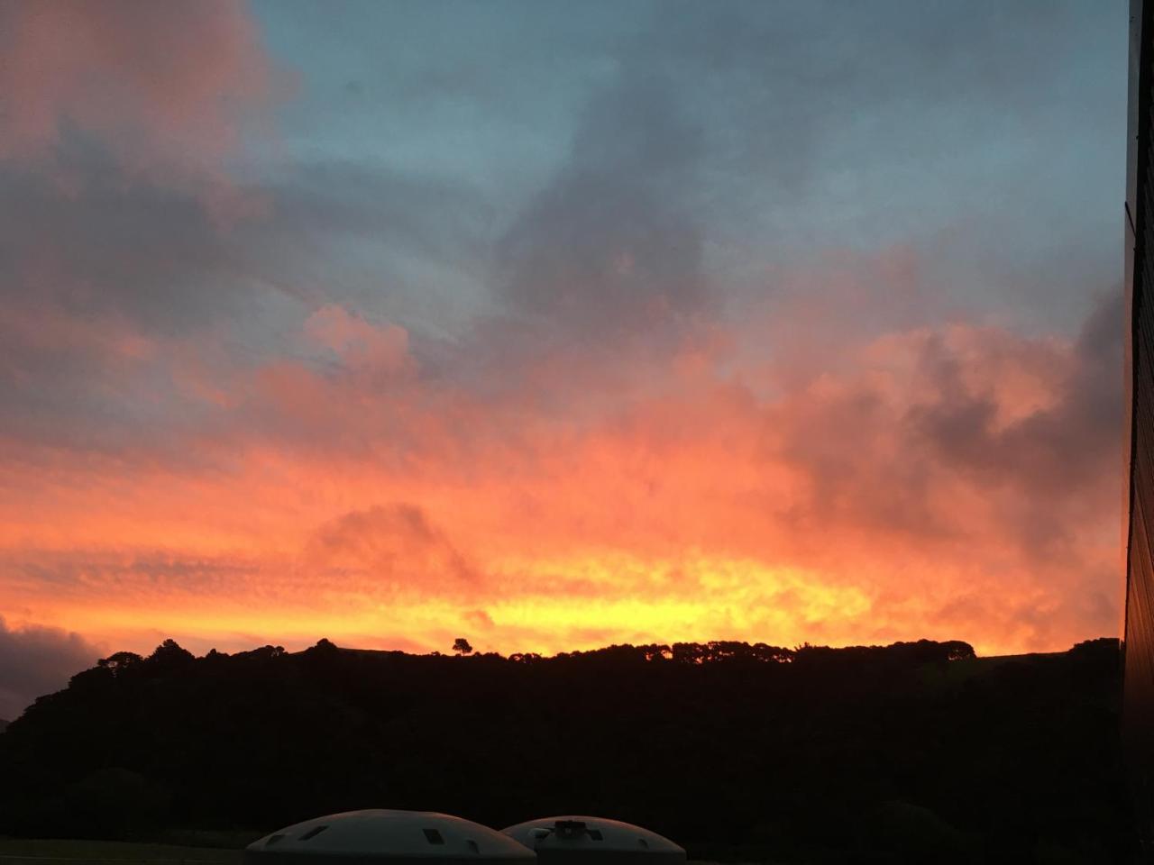 Narrow Neck Creek Farmstay And B&B Upper Hutt Luaran gambar